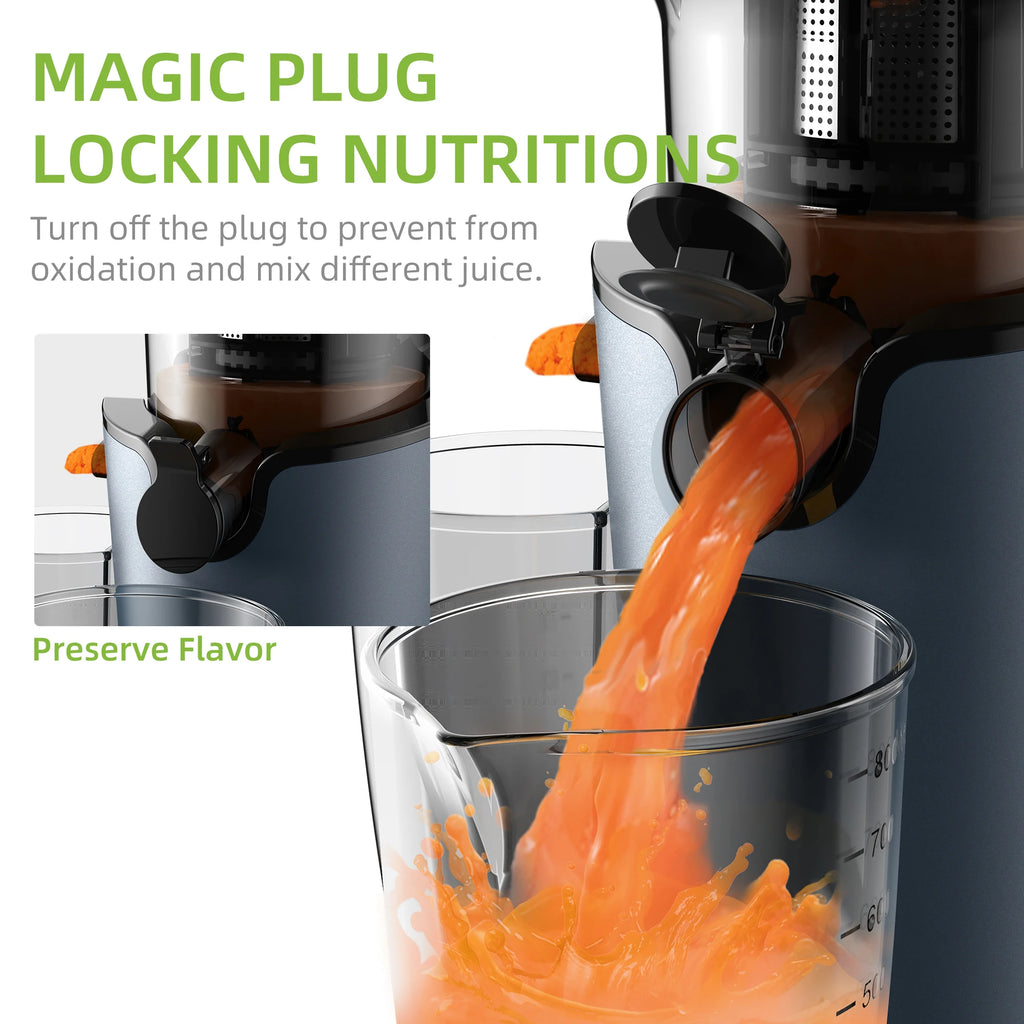BioloMix Whole-Fruit Masticating Cold Press Juicer