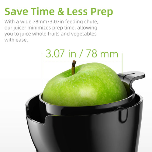 BioloMix Whole-Fruit Masticating Cold Press Juicer