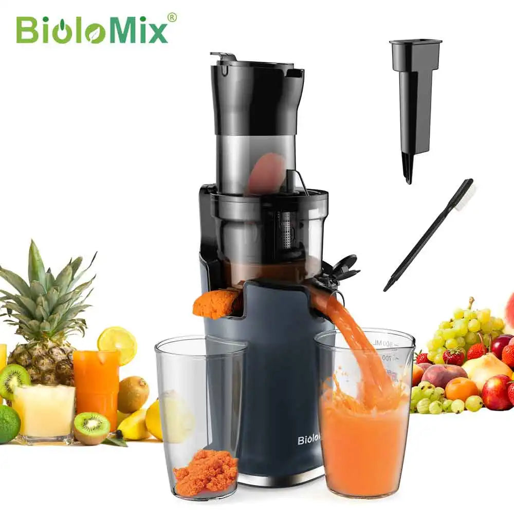 BioloMix Whole-Fruit Masticating Cold Press Juicer